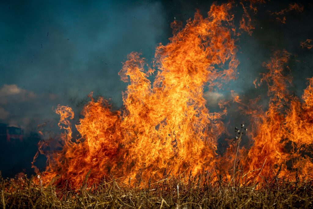fuego